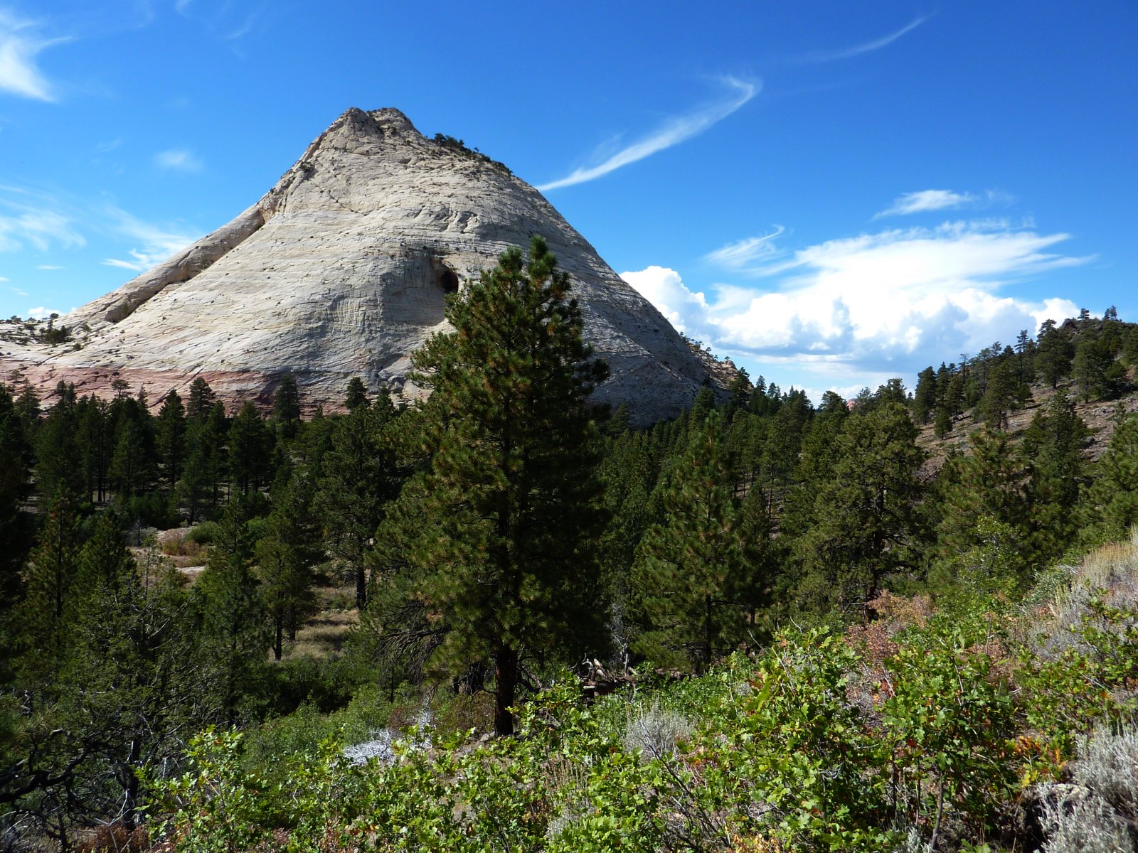 The sawmill valley 'Milwaukie' where Alice was born